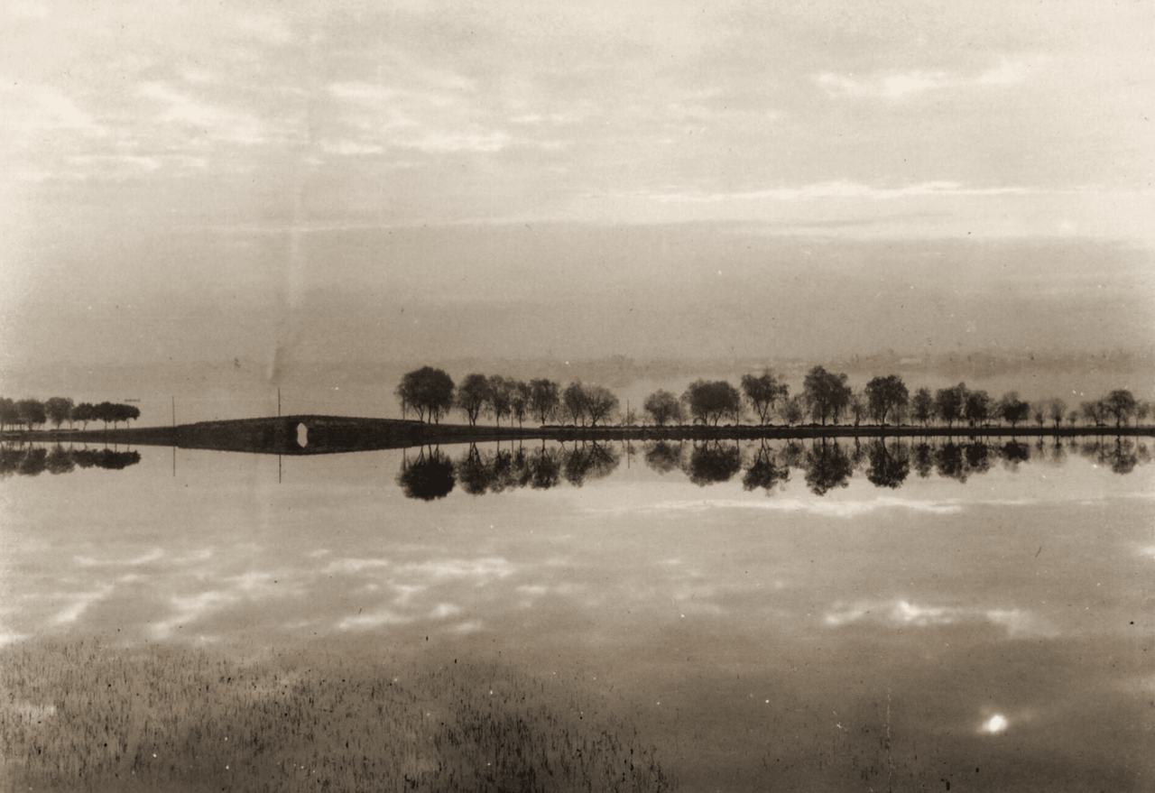 A line of trees along a low causeway, perfectly reflected in still water under a pale sky.