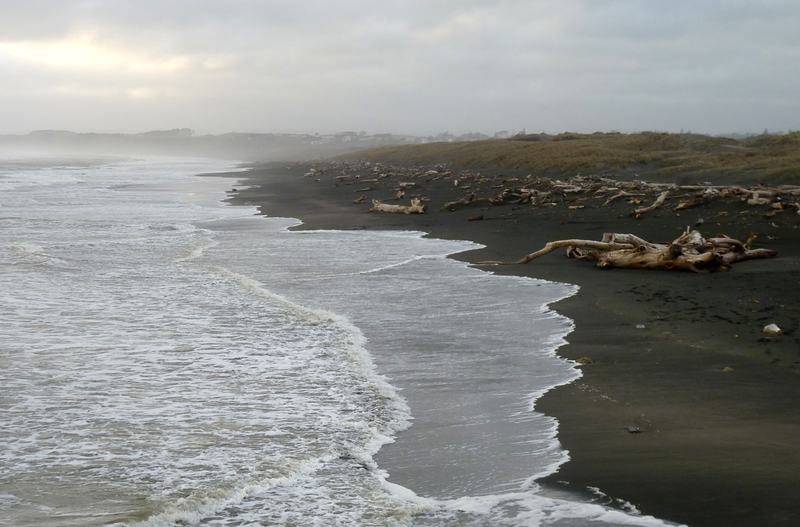 Black sand and piled driftwood along a misty beach, with waves breaking.