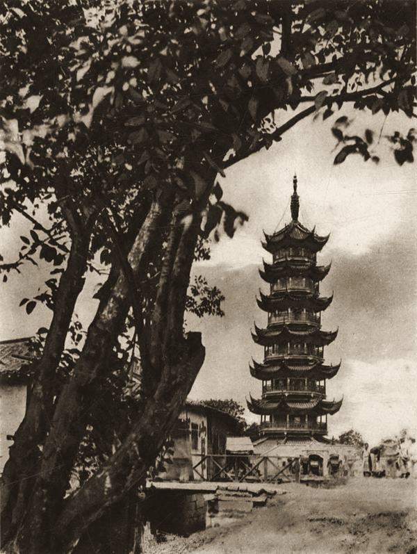 The seven-storey Longhua Pagoda framed by the branches of a tree.