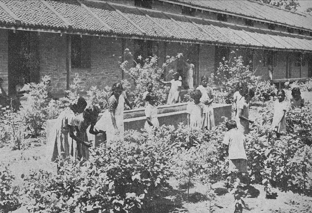 Schoolgirls tending flower beds in front of a long, low school building with a tiled roof and a deep verandah.